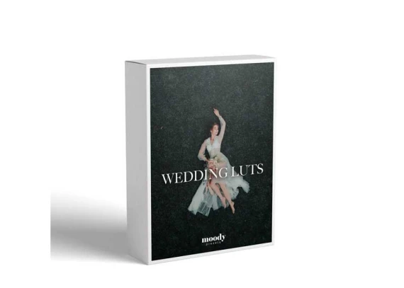 Moodypresets – Wedding LUTs | Cinematic Color Grading for Wedding Films