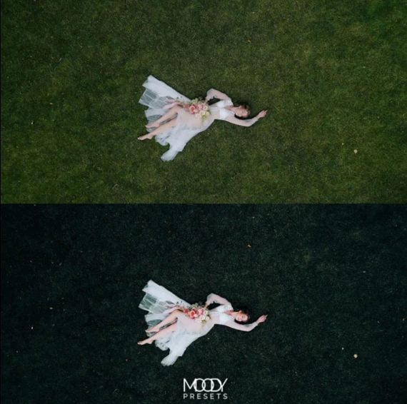 Moodypresets – Wedding LUTs | Cinematic Color Grading for Wedding Films — preview 2