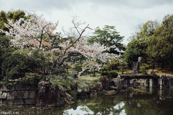 Vivid Presets – TRAVEL II COLLECTION | Adventure & Landscape Lightroom Presets — preview 4