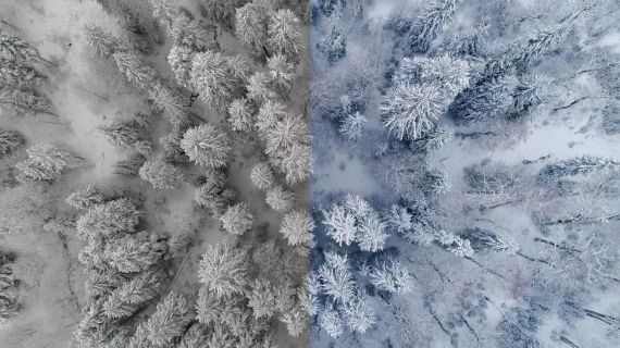 GNProduction – D-Cinelike Drone Winter LUT | Cinematic LUT for Snow & Cold Weather Scenes — preview 2