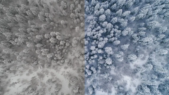 GNProduction – D-Cinelike Drone Winter LUT | Cinematic LUT for Snow & Cold Weather Scenes — preview 6