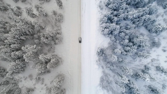 GNProduction – D-Cinelike Drone Winter LUT | Cinematic LUT for Snow & Cold Weather Scenes — preview 5