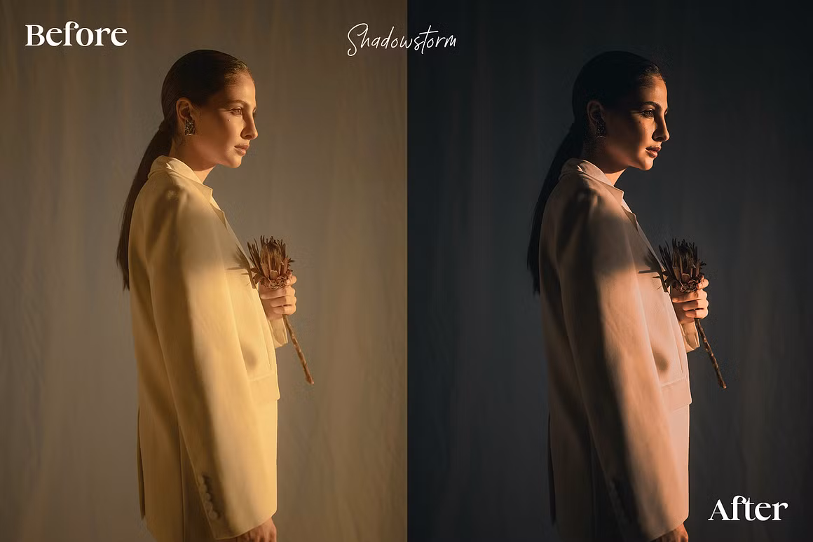 CreativeMarket – 14 Dark & Moody Lightroom Presets — preview 4