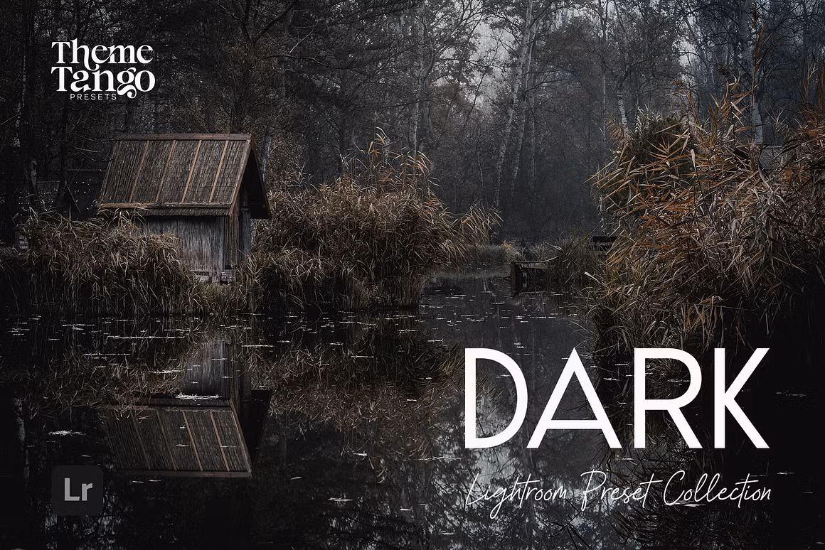 CreativeMarket – 14 Dark & Moody Lightroom Presets