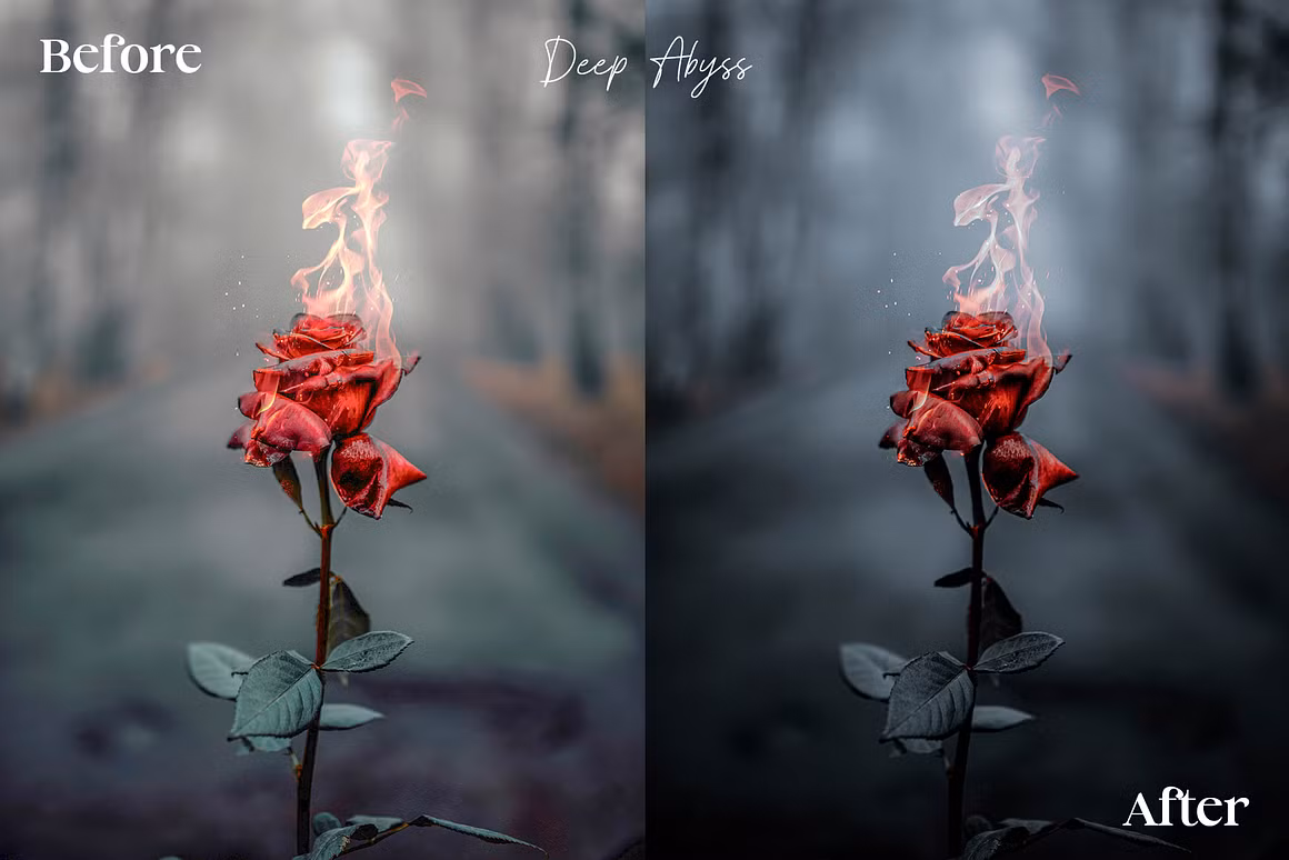 CreativeMarket – 14 Dark & Moody Lightroom Presets — preview 2