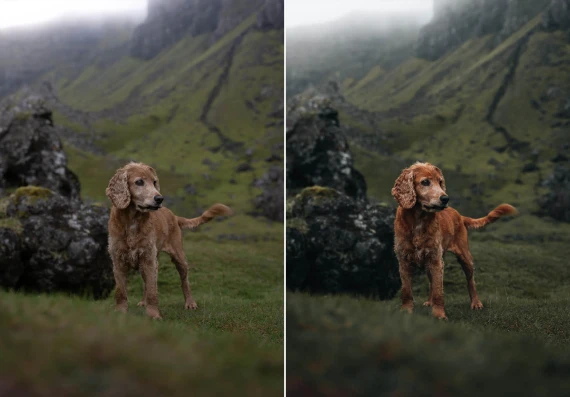 WithLuke – The Master Collection 2022 (150 Lightroom Presets) — preview 5