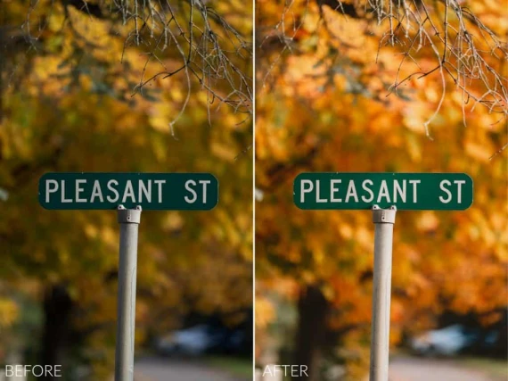 Sean Dalton – Autumn Glow Preset Pack (Lightroom Mobile & Desktop Presets) — preview 10