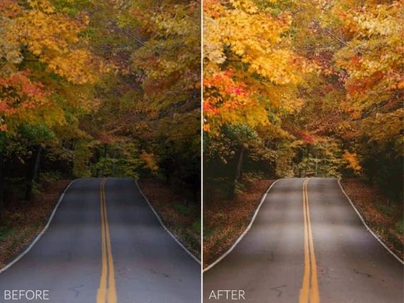 Sean Dalton – Autumn Glow Preset Pack (Lightroom Mobile & Desktop Presets) — preview 8