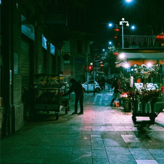 Be Truly Wild – Cinematic Lightroom Presets for Night & Day Photography — preview 2