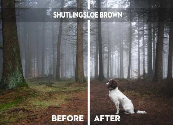 Nigel Danson – Painterly Lightroom Presets for Landscape Photography — preview 6