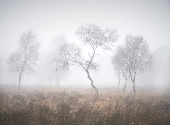 Nigel Danson – Landscapes in All Lighting Conditions (Photography Course) — preview 3