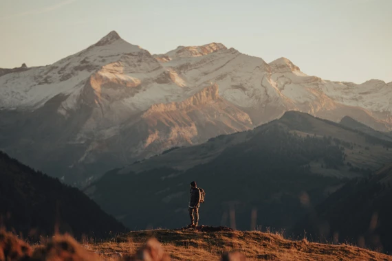 Shortstache – Basesets Workshop & Lightroom Presets — preview 3