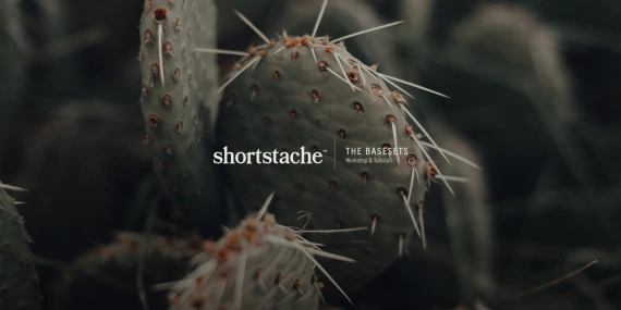 Shortstache – Basesets Workshop & Lightroom Presets
