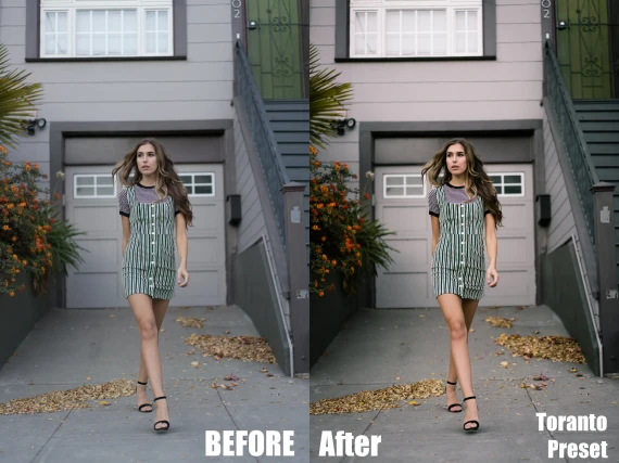 Walmart Drake – Lightroom Preset Pack — preview 4