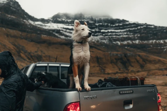 Michiel Pieters – Photography & Videography Preset Pack — preview 6