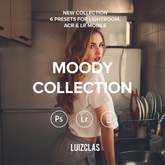 Luizclas – Moody Collection Presets