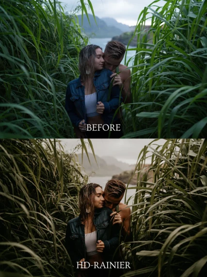 Henry Tieu – HD Presets Pack 1 — preview 2