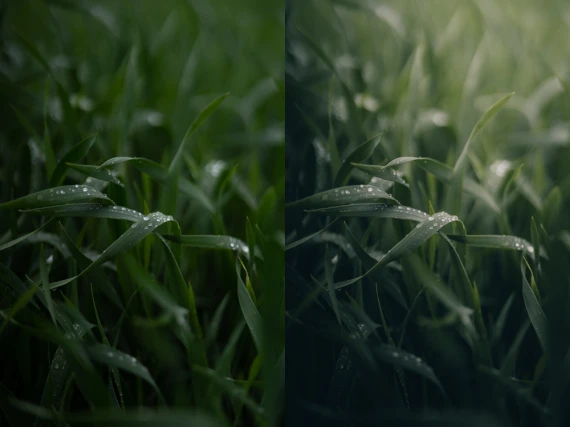 Michael Kagerer – Master Collection Presets — preview 6