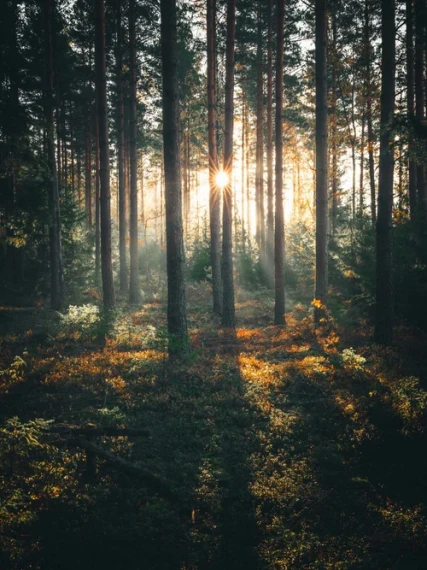 Air Pixels – Lightroom Presets by Tobias Hägg — preview 6