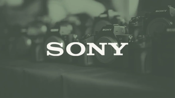 Gamut - Sony BaseLUTs for S-Log3 + S-Log2 — preview 5