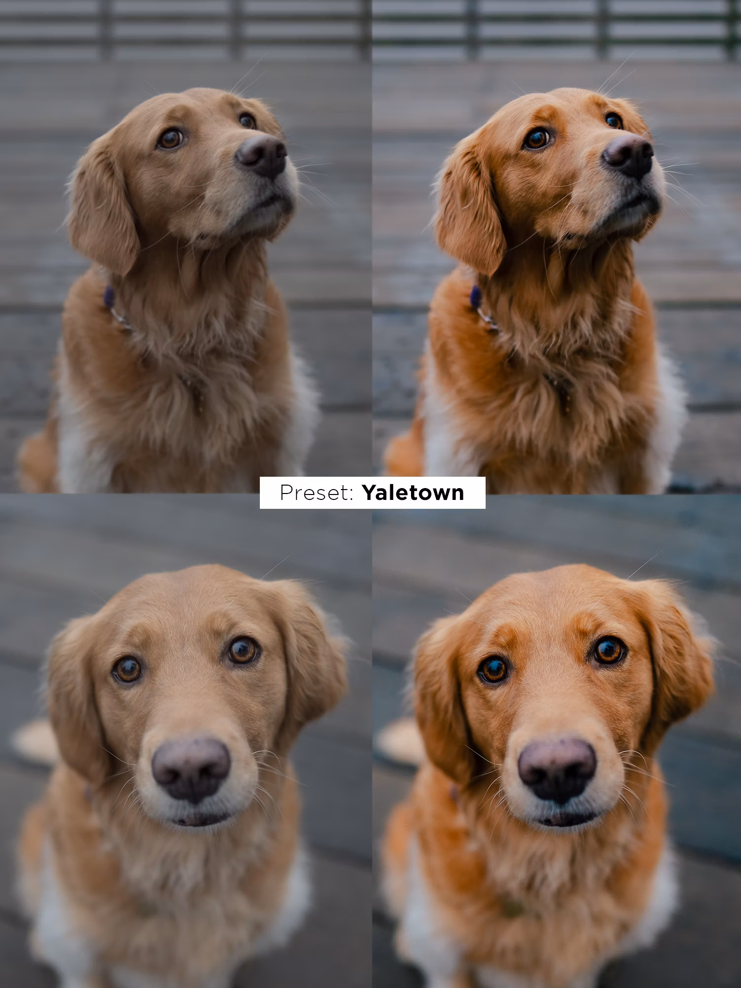 Justin Veenema – Ultimate Preset Bundle — preview 4