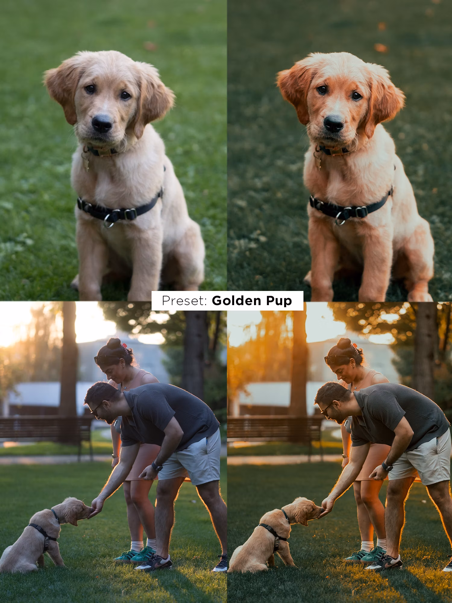 Justin Veenema – Ultimate Preset Bundle — preview 8