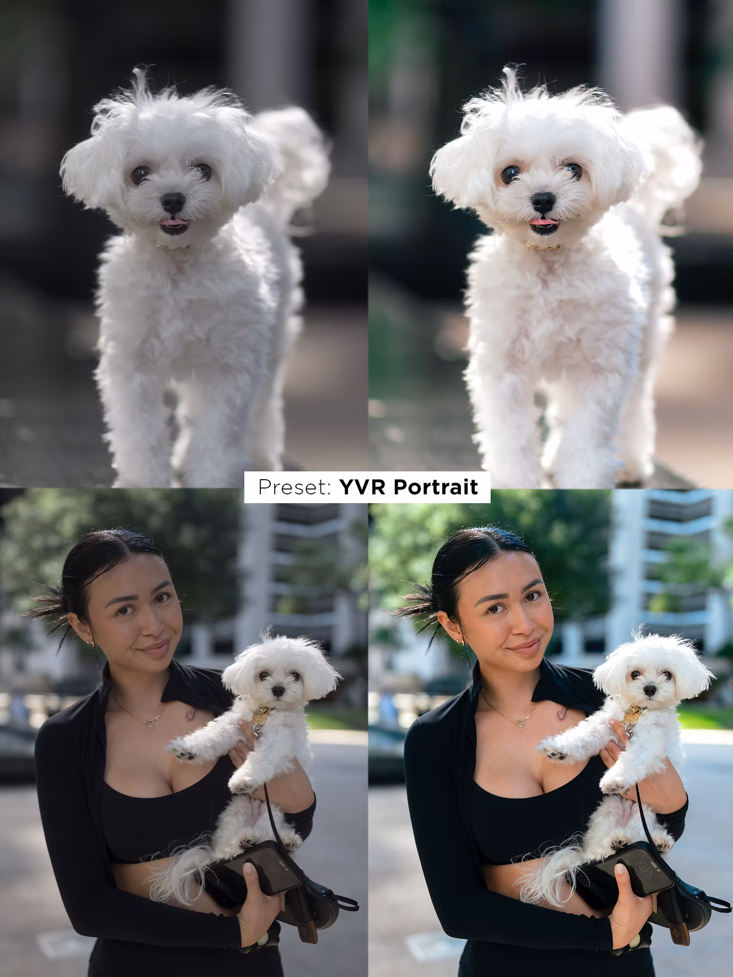 Justin Veenema – Ultimate Preset Bundle — preview 5