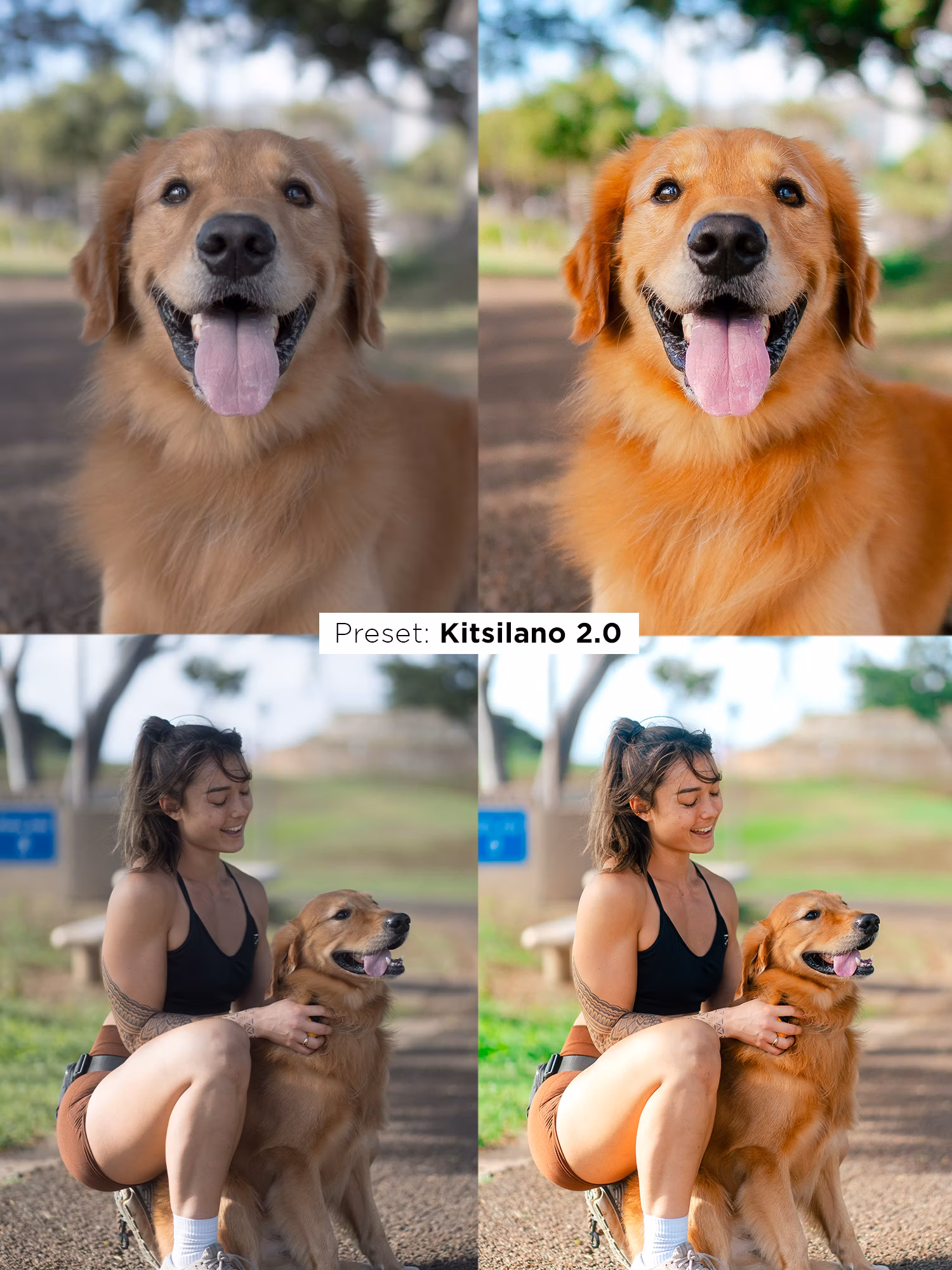 Justin Veenema – Ultimate Preset Bundle — preview 7