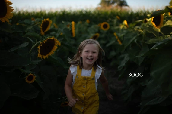Harvest Matte Presets – (Twig & Olive) — preview 3