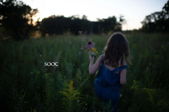 Harvest Matte Presets – (Twig & Olive) — preview 5