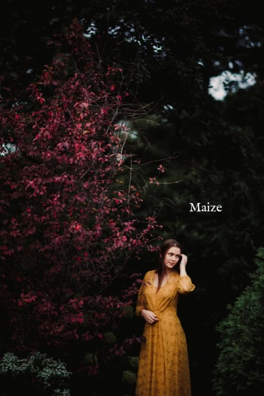 Harvest Matte Presets – (Twig & Olive) — preview 14