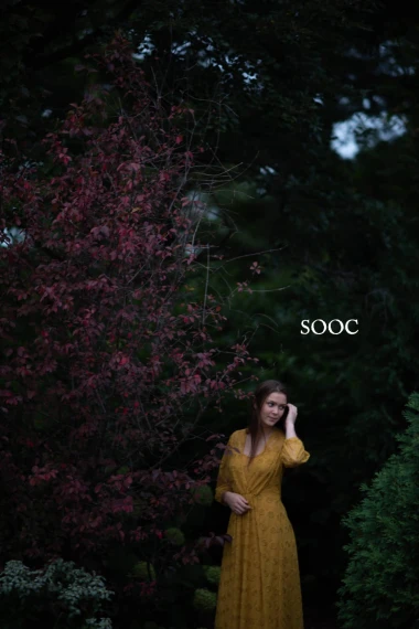 Harvest Matte Presets – (Twig & Olive) — preview 13