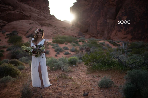 Harvest Matte Presets – (Twig & Olive) — preview 15