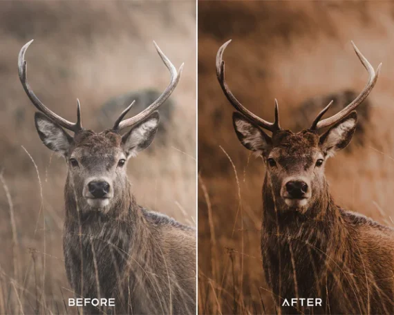Moody Brown Preset & LUTs Collection – Rich Cinematic Browns for Photo & Video — preview 5