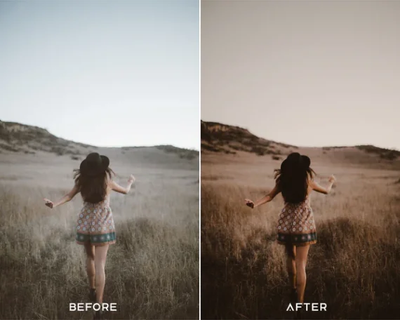 Moody Brown Preset & LUTs Collection – Rich Cinematic Browns for Photo & Video — preview 3
