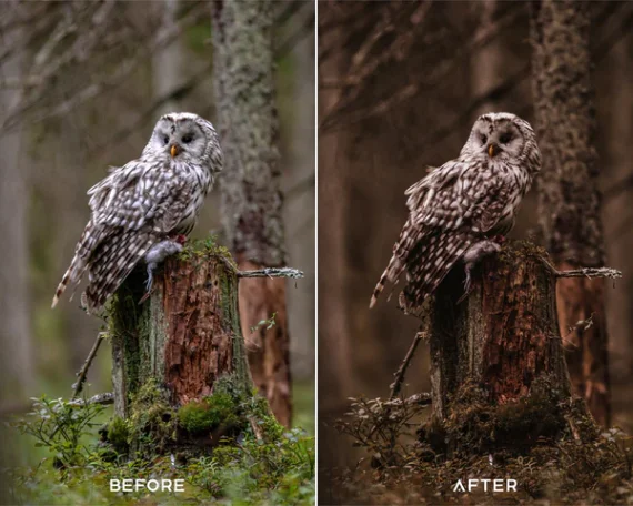 Moody Brown Preset & LUTs Collection – Rich Cinematic Browns for Photo & Video — preview 4