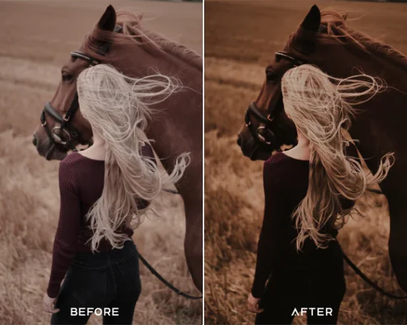 Moody Brown Preset & LUTs Collection – Rich Cinematic Browns for Photo & Video — preview 2