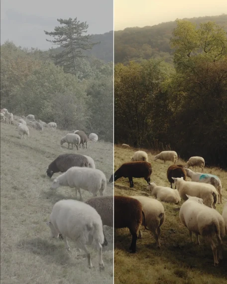 JULIAN PAPIS – Nostalgia LUT Pack — preview 3