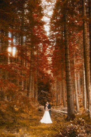 Archipelago Quest – Peak Fall Toolset: Autumn at Your Fingertips — preview 3