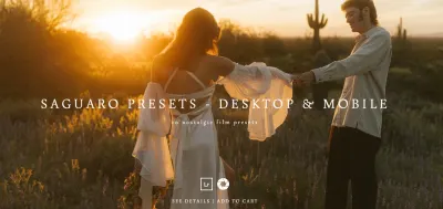 Meridian Presets – Saguaro Nostalgic Film Presets