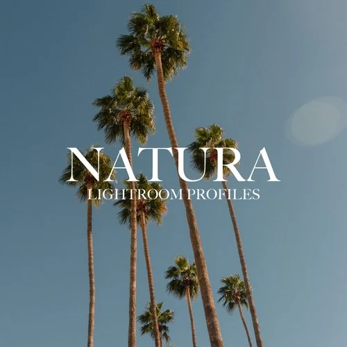Mitch Lally – Natura Lightroom Profiles (Kodak Portra Emulation)