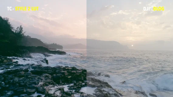 Tropic Colour – Drone Looks — preview 4