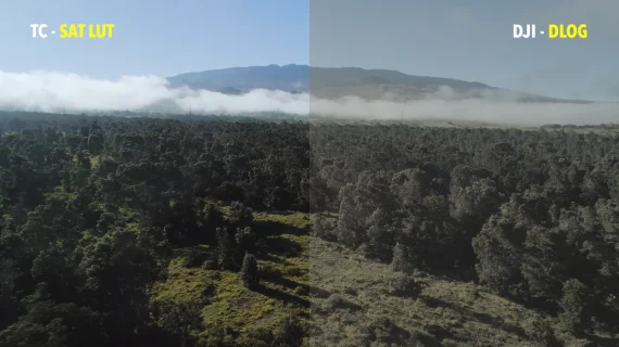 Tropic Colour – Drone Looks — preview 5