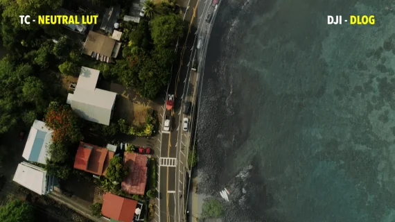 Tropic Colour – Drone Looks — preview 2