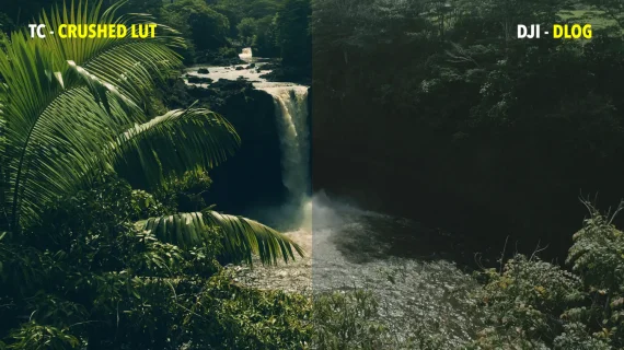 Tropic Colour – Drone Looks — preview 3