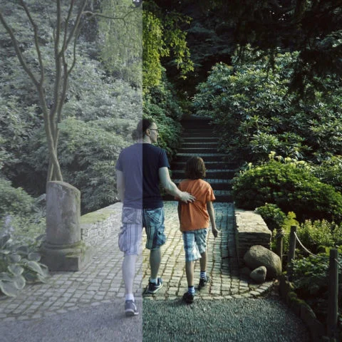 FilterGrade – Levels LUT Video LUTs (140+ Cinematic Looks) — preview 7