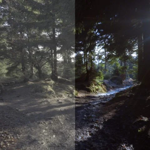 FilterGrade – Levels LUT Video LUTs (140+ Cinematic Looks) — preview 11