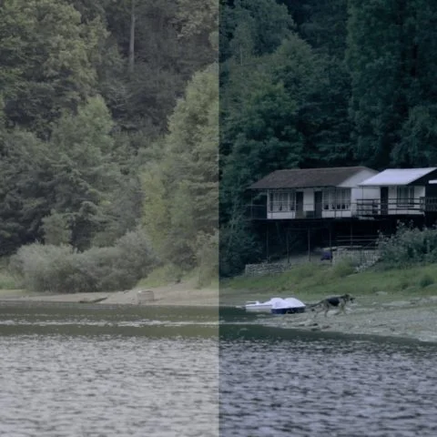 FilterGrade – Levels LUT Video LUTs (140+ Cinematic Looks) — preview 3