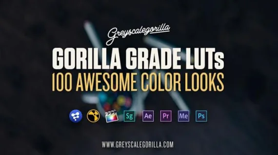 Greyscalegorilla – Gorilla Grade LUTs (Ultimate 3D & Cinematic Look Collection) — preview 2
