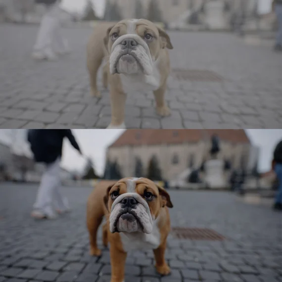 SONY SLOG 3 LUTs – Skintone Edition (21 LUTs + Bonus Monitoring LUT) — preview 6